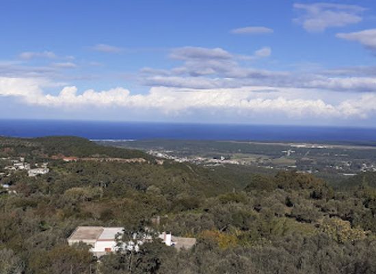 tunisia/tabarka/attraction/alhuwaydiyah