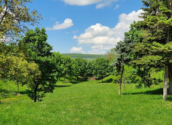 romania/salaj/attraction/cetatuia-park