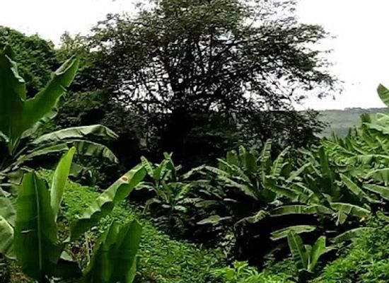 rwanda/eastern-province/attraction/samatare-caves