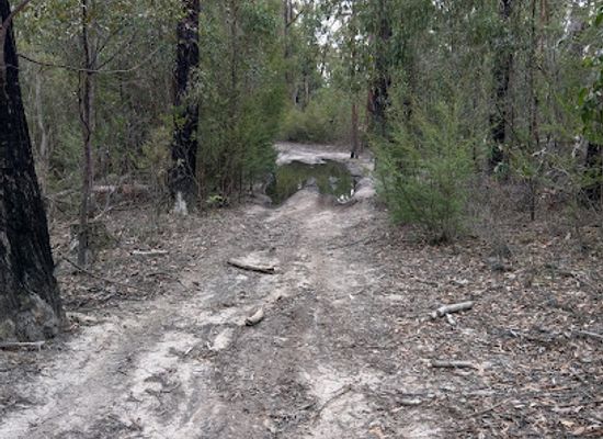 australia/gippsland/attraction/moondarra-state-park