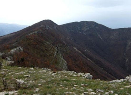 albania/kurbin/attraction/maja-e-sukes