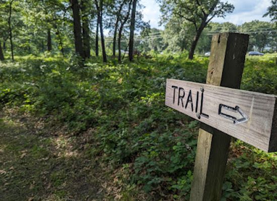 indiana/the-hoosier-national-forest/attraction/hoosier-prairie-state-nature-preserve