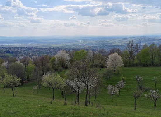 romania/maramures/attraction/the-stone-garden