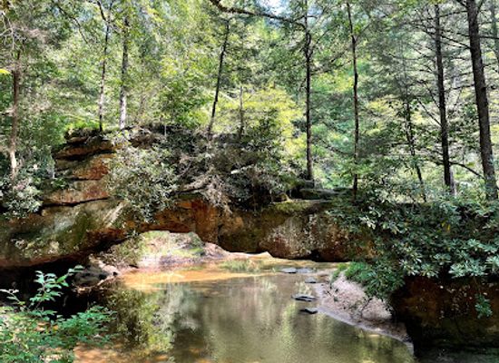 kentucky/eastern-mountain-coal-fields/attraction/rock-bridge