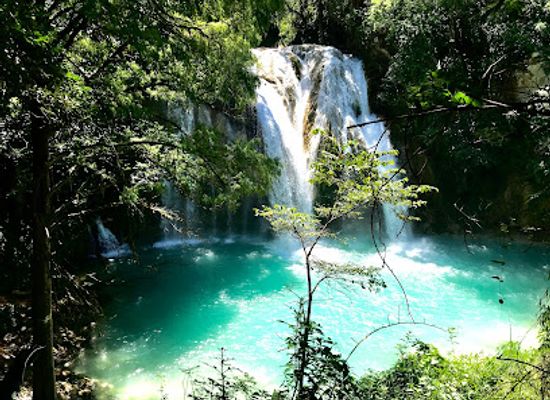 mexico/lacandon-jungle/attraction/cascada-el-chiflon