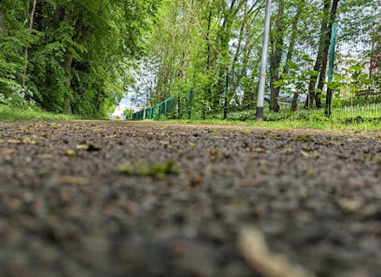 france/dijon/attraction/ru-de-pouilly-woods