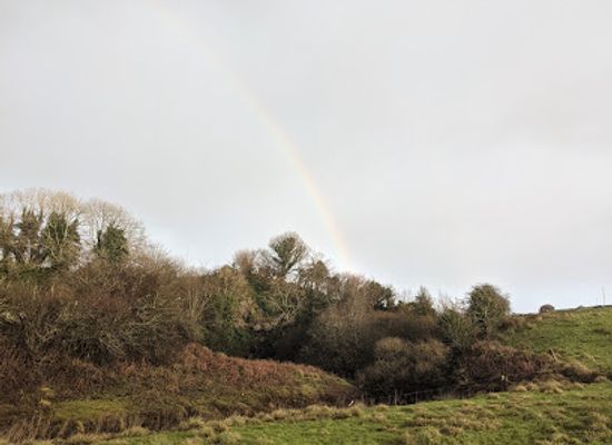 ireland/county-mayo/attraction/aille-caves