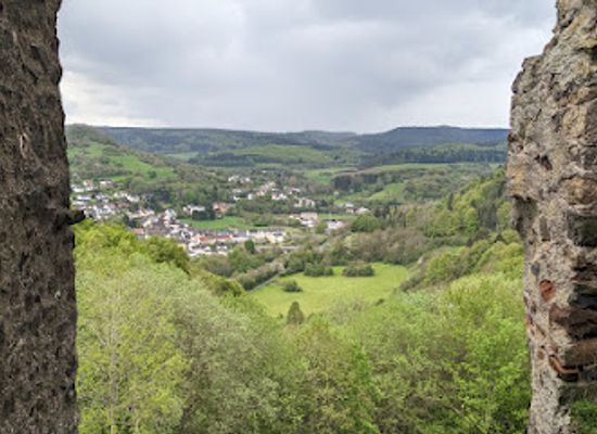 germany/eifel-national-park/attraction/eagle-and-wolf-park-kasselburg