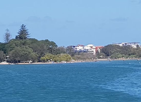 australia/sunshine-coast/attraction/maroochy-wetland-sanctuary