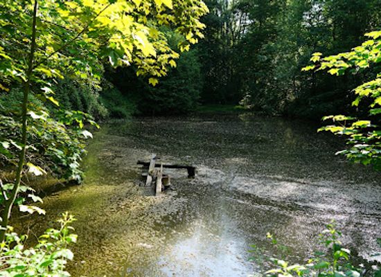 luxembourg/eislek/attraction/wanderweg-diekirch-dk1-dk2