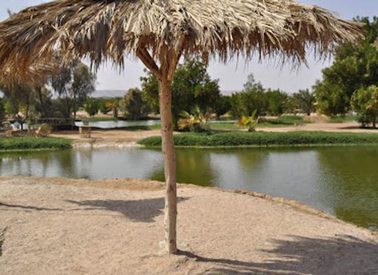 egypt/nubia/attraction/el-gouna-fish-farm