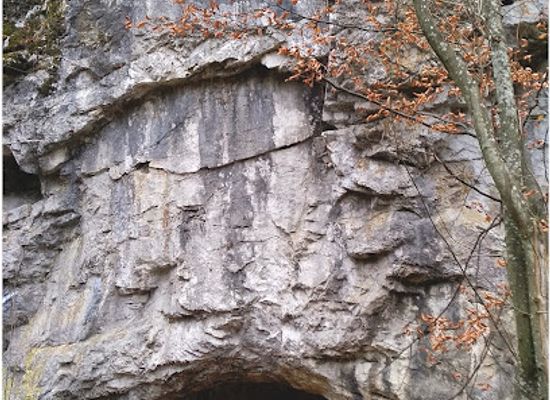 czechia/moravian-karst/attraction/jeskyne-jestrabka