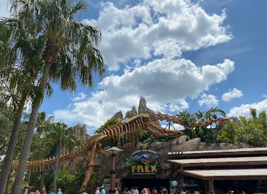 florida/orlando/lake-buena-vista/attraction/disney-springs