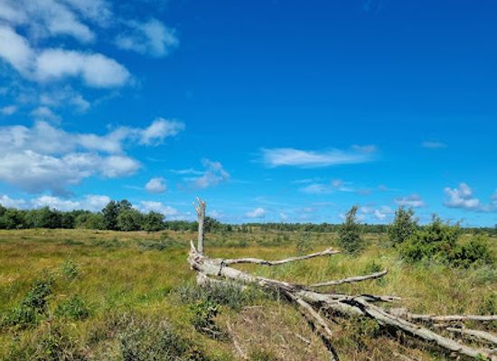 denmark/laso/attraction/ostre-foldgardso