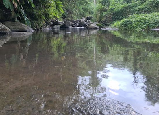 saint-vincent-and-the-grenadines/botanic-gardens-st-vincent/attraction/old-dam