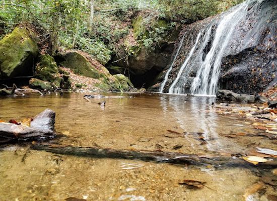 north-carolina/nantahala-national-forest/attraction/panthertown-valley-trailhead-public-access