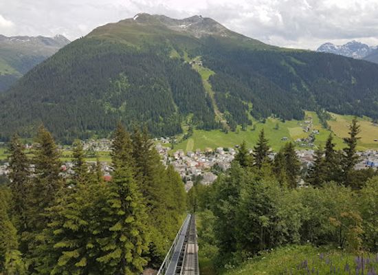 switzerland/davos/attraction/botanischer-alpengarten-alpinum