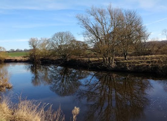 united-kingdom/durham/attraction/low-burnhall-woodland-trust
