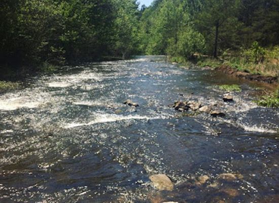 alabama/sipsey-wilderness/attraction/brushy-creek-trailhead