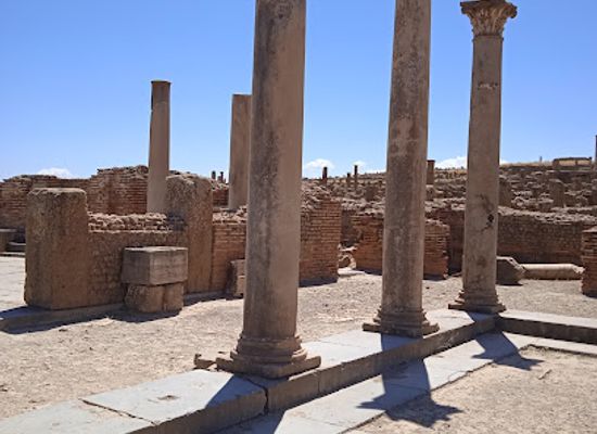 algeria/timgad-ruins/attraction/ruins-of-the-library-of-timgad