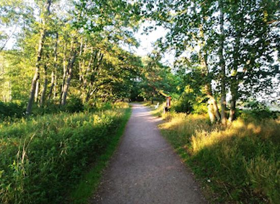 finland/turku-archipelago/attraction/post-glacial-rebound-information-board