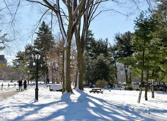 new-york/new-york-metropolitan-area/attraction/arthur-ross-pinetum