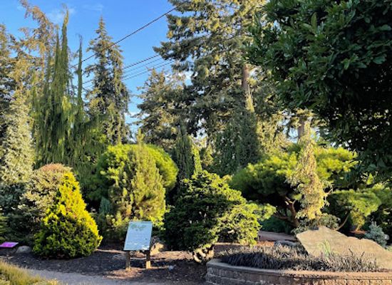 washington/western-washington/attraction/evergreen-arboretum-gardens