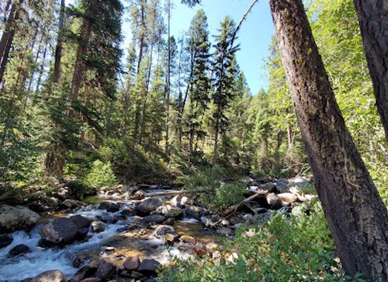 montana/bitterroot-national-forest/attraction/boulder-creek-trailhead