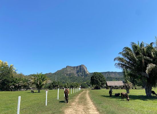 bolivia/madidi-national-park/attraction/quinta-mi-tata