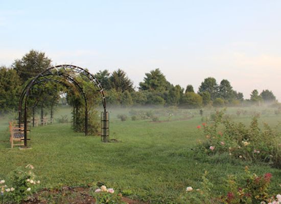 kentucky/bluegrass-region/attraction/the-arboretum-state-botanical-garden-of-kentucky