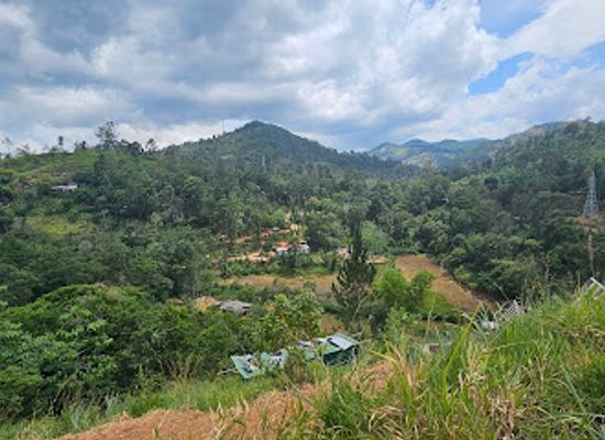 sri-lanka/southern-province/attraction/tuk-tuk-safari-tangalle