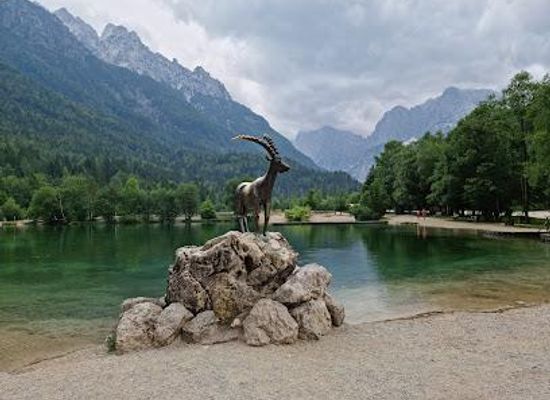 slovenia/bohinj/attraction/lake-jasna