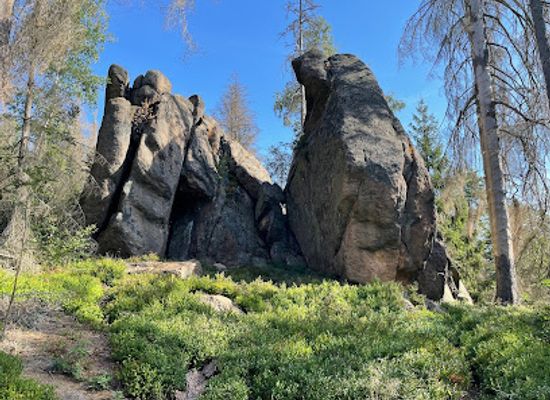 germany/harz-mountains/attraction/froschfelsen-hwn-5