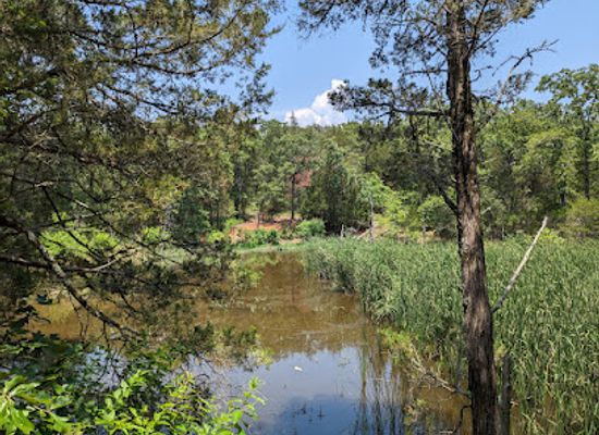 texas/blackland-prairie/attraction/purtis-creek-state-park