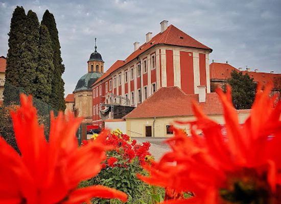 czechia/west-bohemia/attraction/plasy-monastery