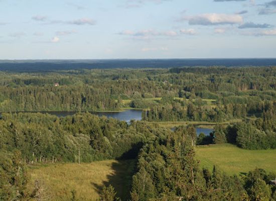estonia/vorumaa/attraction/suur-munamagi-tower