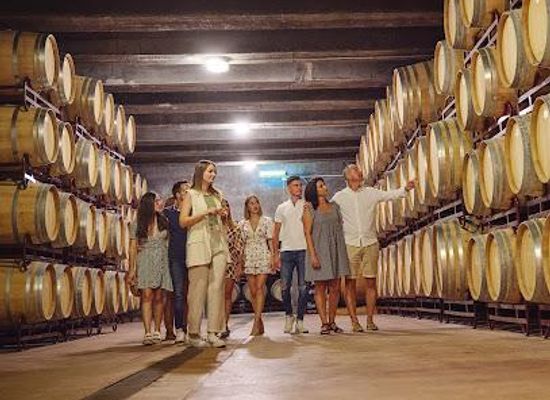 spain/valencian-community/attraction/bodegas-enrique-mendoza