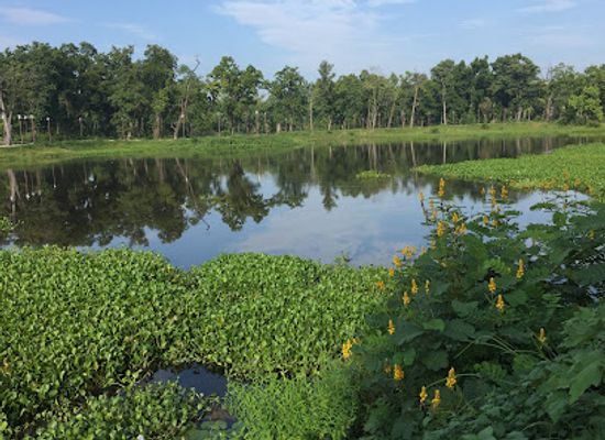 nepal/sudurpashchim-province/attraction/jakhor-lake