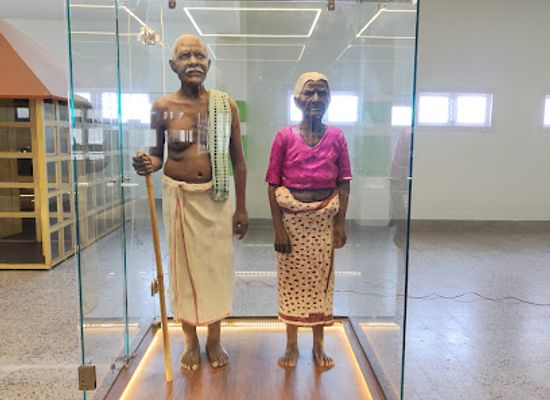 india/south-india/attraction/tribal-museum