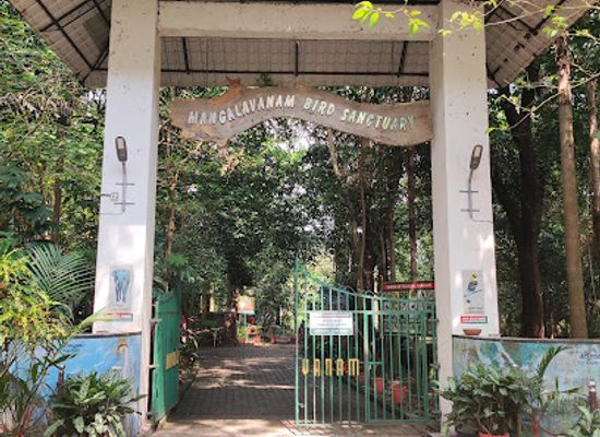 india/kochi/ernakulam/attraction/mangalavanam-bird-sanctuary
