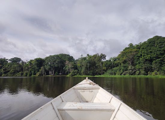 colombia/amazon/attraction/amazon-jungle-tours-colombia-into-the-wild