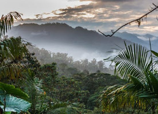 ecuador/mindo-cloud-forest/attraction/santa-lucia-cloud-forest-ecolodge-reserve-santa-lucia