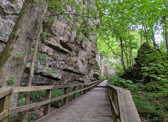 illinois/shawnee-hills/attraction/giant-city-nature-trail