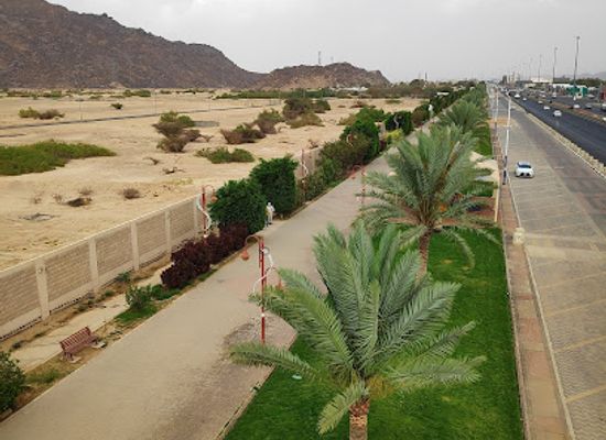 saudi-arabia/najran/attraction/maternity-and-children-hospital-park