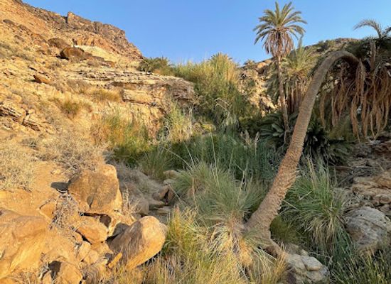 jordan/ma-in-hot-springs/attraction/wadi-um-arna