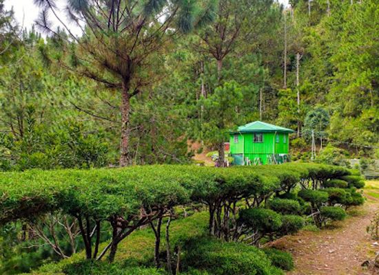 philippines/mt-pulag/attraction/hidden-garden