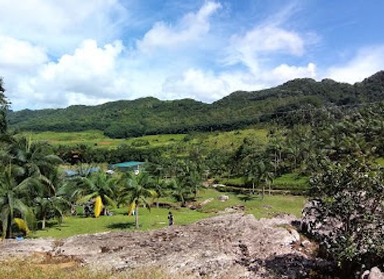 mauritius/plaines-wilhems/attraction/vallee-d-osterlog