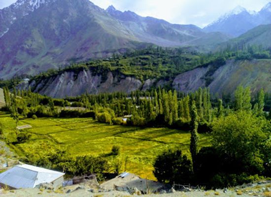 pakistan/shandur-top/attraction/balim-washiki
