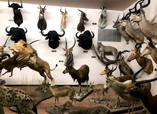 wyoming/laramie-plains/attraction/nelson-museum-of-the-west