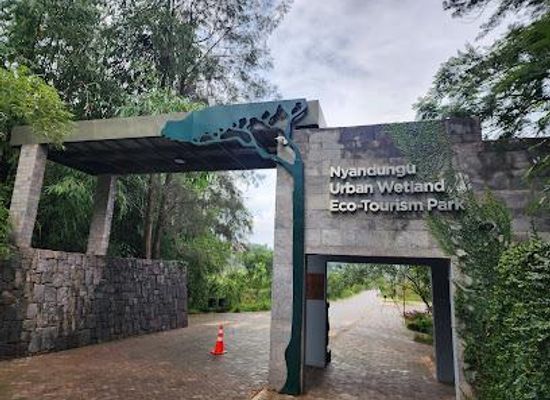 rwanda/kigali/attraction/nyandungu-urban-wetland-eco-tourism-park